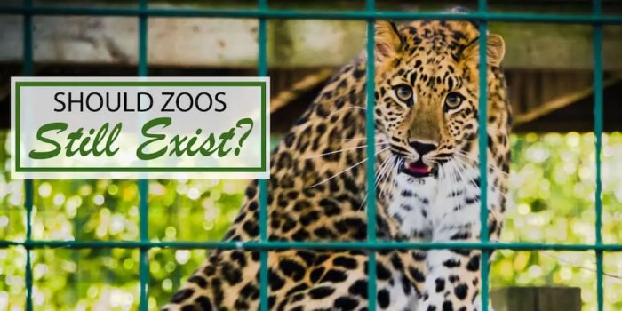 Zoos banned imnepal behavioral observed captured arb confined